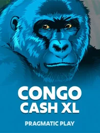 Congo Cash XL